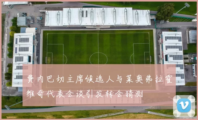 费内巴切主席候选人与莱奥弗拉霍维奇代表会谈引发转会猜测
